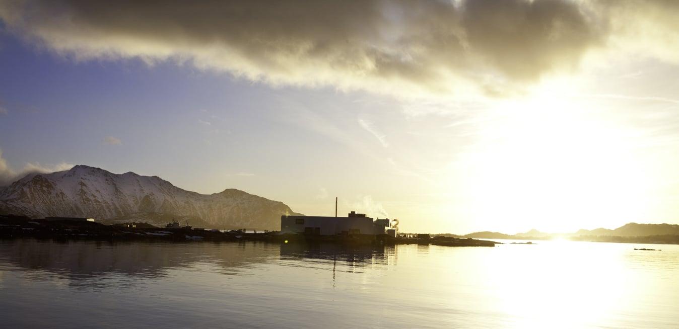 Dataanalyse og Excel-integrasjon